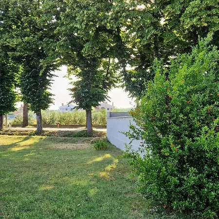Apartment Beautiful In Marcana With Wifi